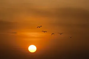 sunset-600095_960_720
